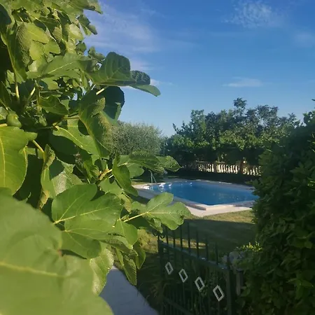 Vinodolsun Mediterran Bribir