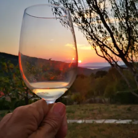 Vinodolsun Mediterran *