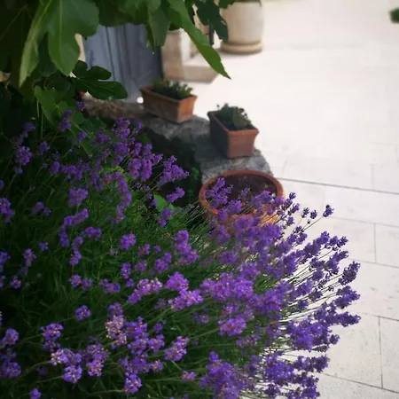 Villa Vinodolsun Mediterran