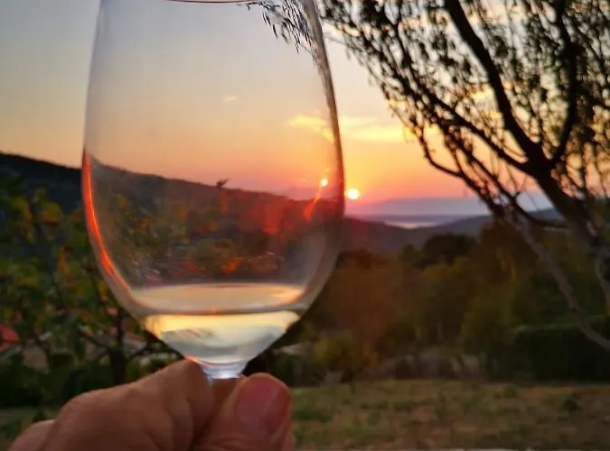 Vinodolsun Mediterran *